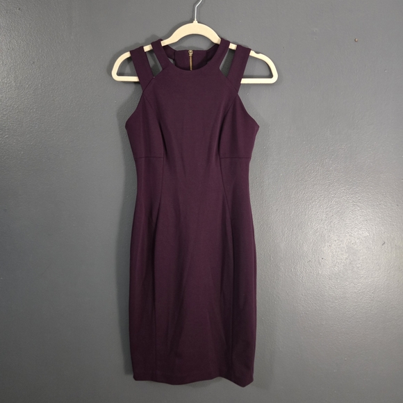 Calvin Klein Plum Sleeveless Mini Dress - Picture 4 of 6